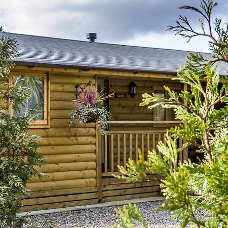 Laurel Lodge - 2 Bedroom Log Cabin - St Florence Saint Florence Dış mekan fotoğraf